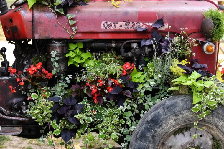 53. međunarodna vrtna izložba Floraart otvorena na jezeru Bundek