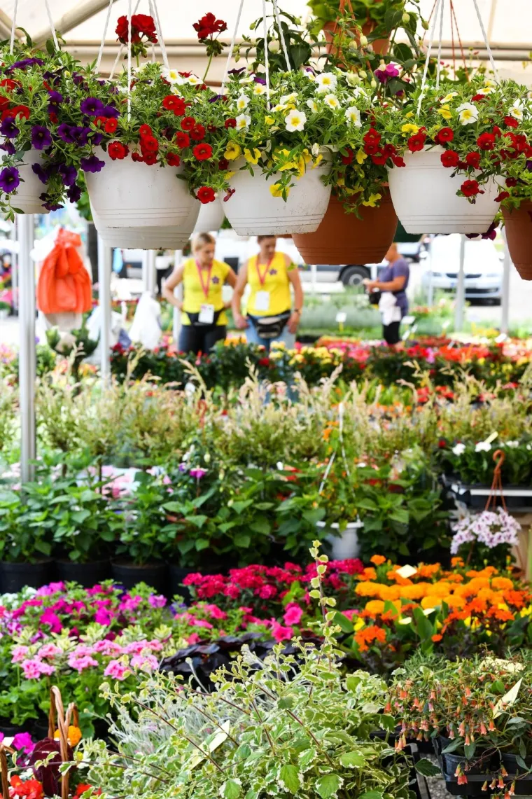 53. međunarodna vrtna izložba Floraart otvorena na jezeru Bundek