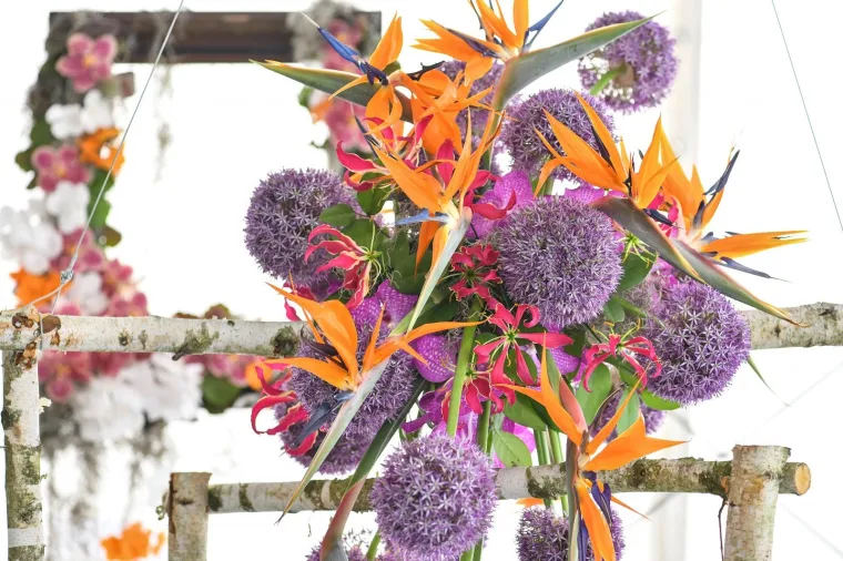 53. međunarodna vrtna izložba Floraart otvorena na jezeru Bundek