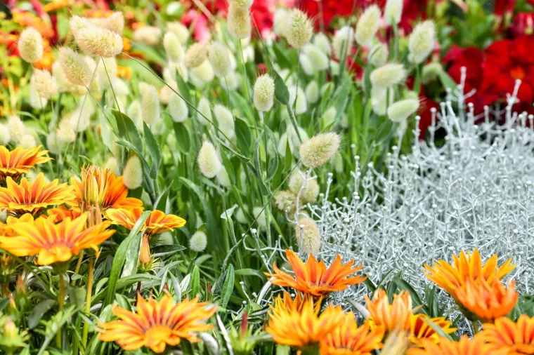 53. međunarodna vrtna izložba Floraart otvorena na jezeru Bundek
