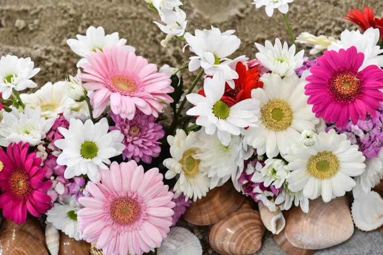 53. međunarodna vrtna izložba Floraart otvorena na jezeru Bundek