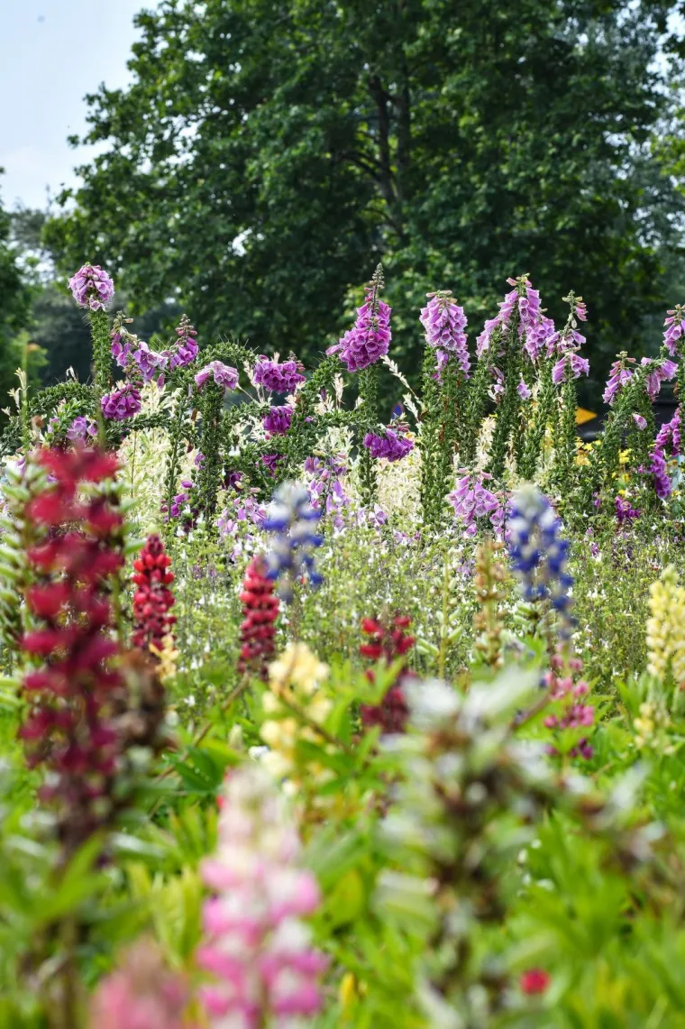 53. međunarodna vrtna izložba Floraart otvorena na jezeru Bundek