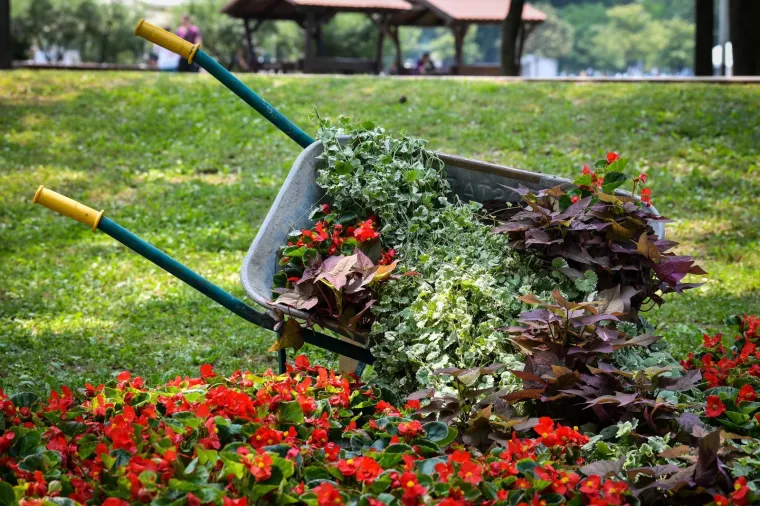 53. međunarodna vrtna izložba Floraart otvorena na jezeru Bundek