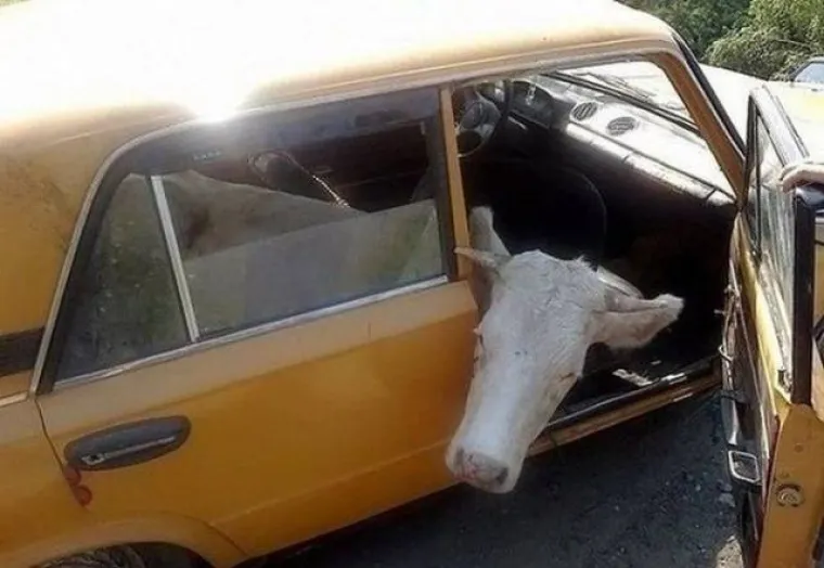 KOLIKO &Scaron;KRTI MORAJU BITI ZA OVAKVE PODVIGE?! Natrpali aute svim i svačim kako ne bi morali plaćati prijevoz, ali ba&scaron; svim i svačim