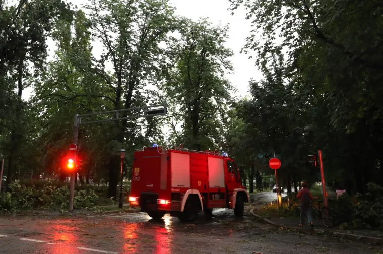 Nevrijeme čupalo stabla i trgalo grane kod Klinike za psihijatriju Vrapče