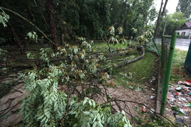 Nevrijeme čupalo stabla i trgalo grane kod Klinike za psihijatriju Vrapče