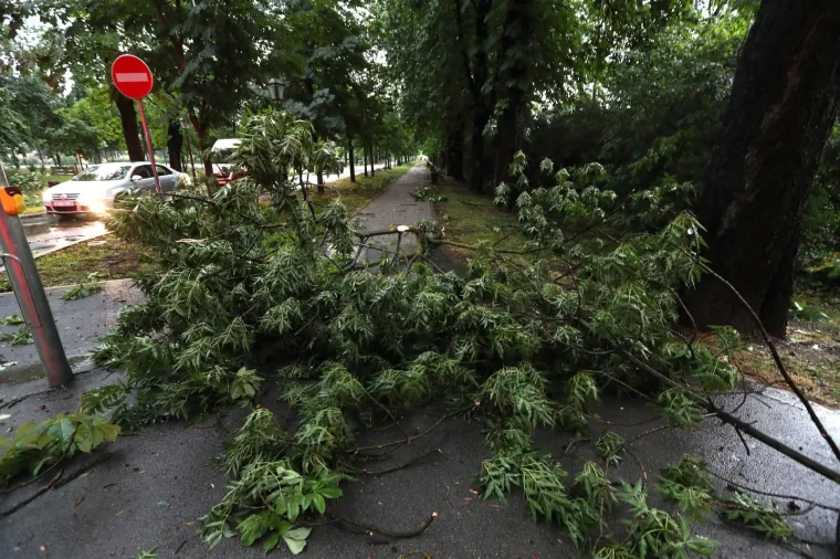 Nevrijeme čupalo stabla i trgalo grane kod Klinike za psihijatriju Vrapče