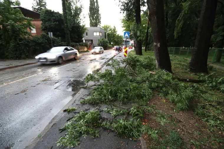 Nevrijeme čupalo stabla i trgalo grane kod Klinike za psihijatriju Vrapče