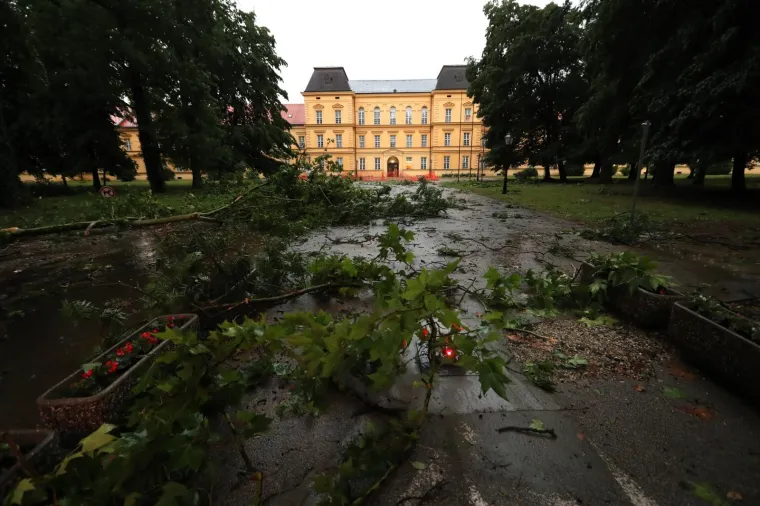 Nevrijeme čupalo stabla i trgalo grane kod Klinike za psihijatriju Vrapče