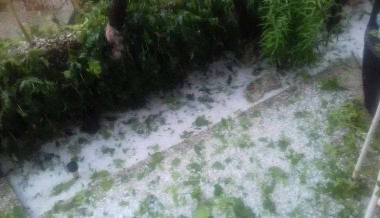 Tuče je bilo u Lugu u općini Proložac u gradu Imotskom. U Krstaticama u zaseoku Gornji Gudelji tuča je uni&scaron;tila povrtlarske kulture i lozu. Zapravo, jo&scaron; se sa sigurno&scaron;ću i ne može znati obim &scaron;tete.
Nevrijeme je trajalo svega petnaestak minuta.