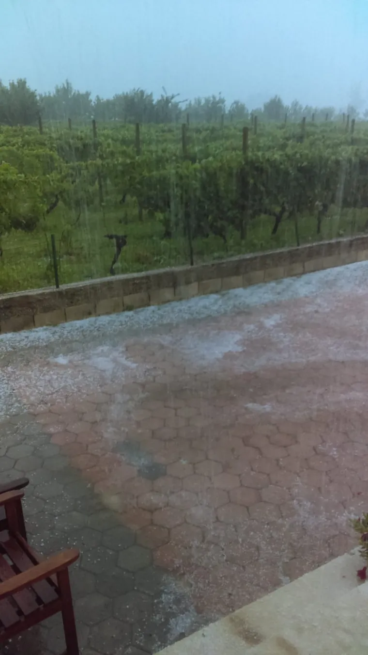 Tuče je bilo u Lugu u općini Proložac u gradu Imotskom. U Krstaticama u zaseoku Gornji Gudelji tuča je uni&scaron;tila povrtlarske kulture i lozu. Zapravo, jo&scaron; se sa sigurno&scaron;ću i ne može znati obim &scaron;tete.
Nevrijeme je trajalo svega petnaestak minuta.