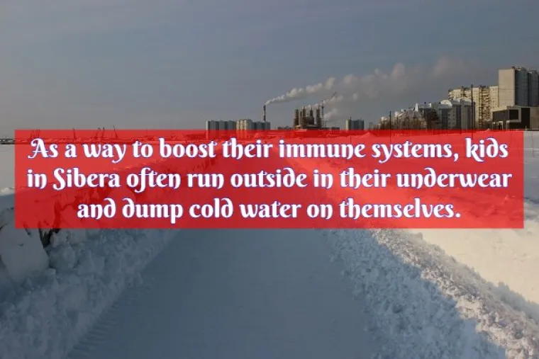 URNEBESNE ČINJENICE O RUSIJI: Učitelje plaćaju vodkom, imaju 9 milijuna žena vi&scaron;e nego mu&scaron;karaca i žale za Sovjetskim Savezom