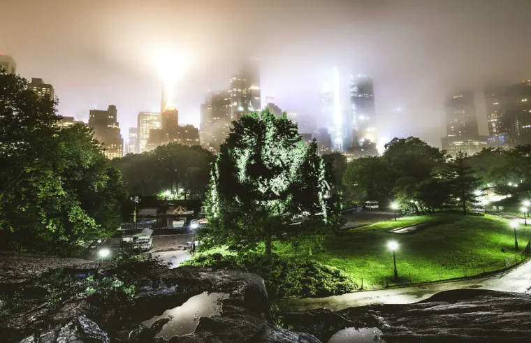 Nesvakidašnja umjetnost u New Yorku i amazonskim prašumama