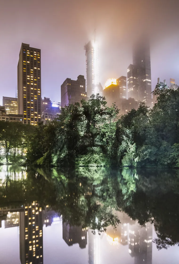 Nesvakidašnja umjetnost u New Yorku i amazonskim prašumama