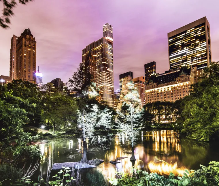 Nesvakidašnja umjetnost u New Yorku i amazonskim prašumama