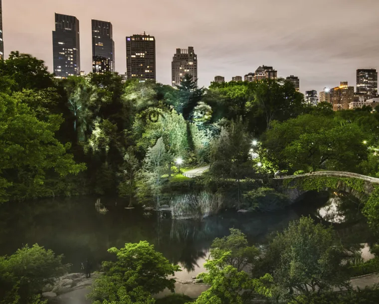 Nesvakidašnja umjetnost u New Yorku i amazonskim prašumama
