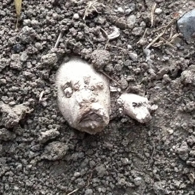 Osjećate se pomalo ludo nakon što se pogledali ove fotke? Provjerite opet