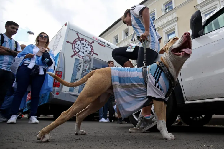 HRVATSKI I ARGENTINSKI NAVIJAČI OKUPIRALI NIŽNJI NOVGOROD: Sve je spremno za veliki spektakl