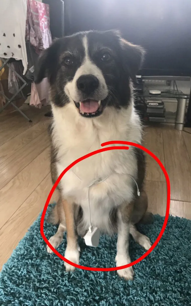 Ovi ljudi su iz budućnosti: izumi koji dokazuju da su neki godinama ispred nas