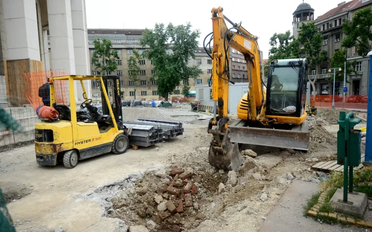 'Zabranite devastaciju, a ne slobodu govora': Protestno druženje Inicijative Vratite magnoliju