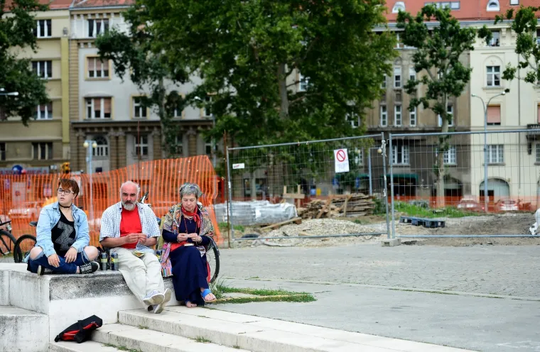 'Zabranite devastaciju, a ne slobodu govora': Protestno druženje Inicijative Vratite magnoliju