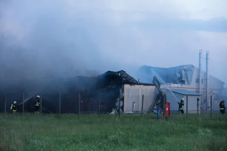 UŽAS KOD VINKOVACA: U požaru izgorjelo 1000 svinja