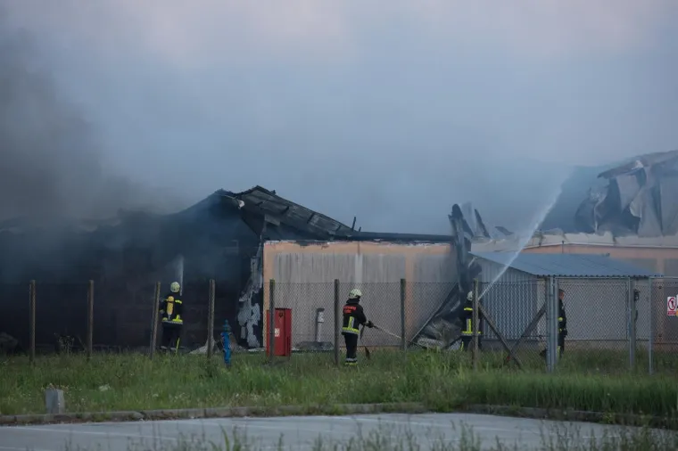 UŽAS KOD VINKOVACA: U požaru izgorjelo 1000 svinja
