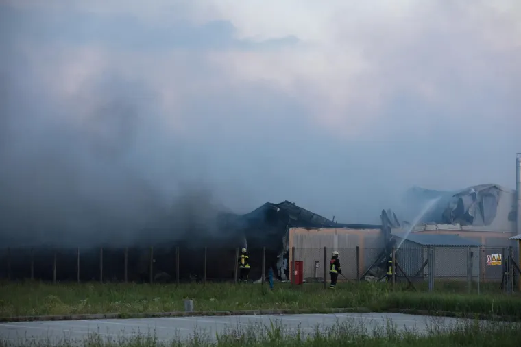 UŽAS KOD VINKOVACA: U požaru izgorjelo 1000 svinja