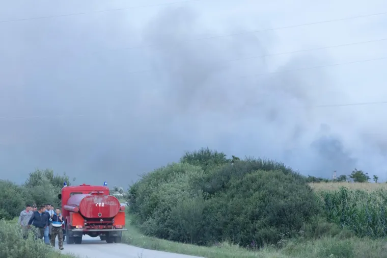 UŽAS KOD VINKOVACA: U požaru izgorjelo 1000 svinja