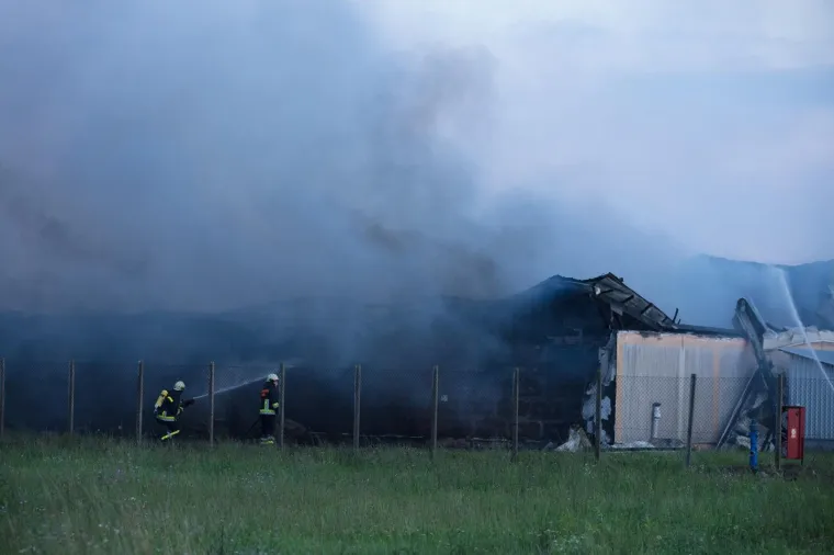 UŽAS KOD VINKOVACA: U požaru izgorjelo 1000 svinja