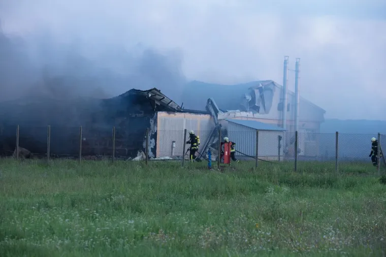 UŽAS KOD VINKOVACA: U požaru izgorjelo 1000 svinja