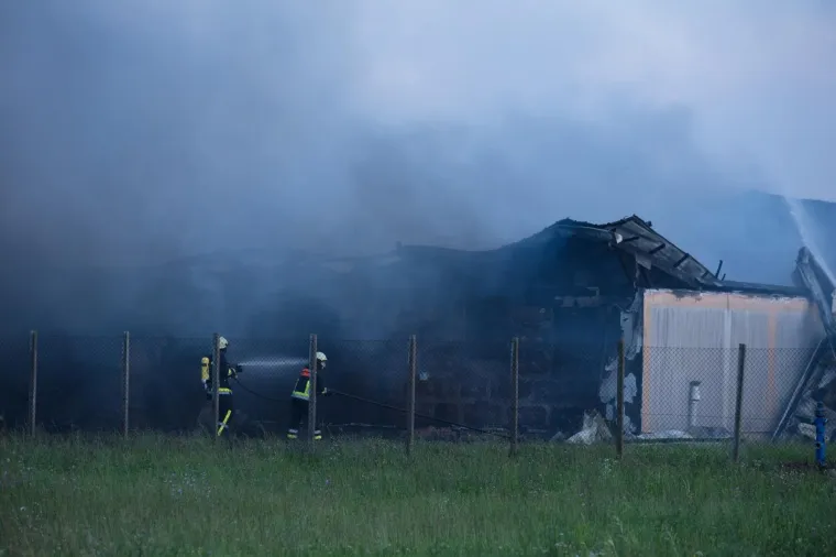 UŽAS KOD VINKOVACA: U požaru izgorjelo 1000 svinja