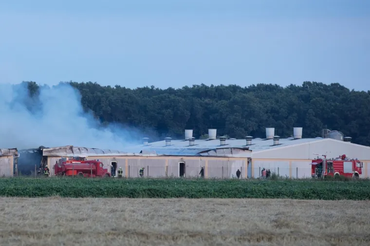 U Andrija&scaron;evcima je izgorjela PIK-ova svinja, stradao je njih tisuću