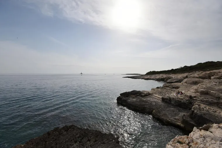 Znate li kakva je vegetacija Istre?