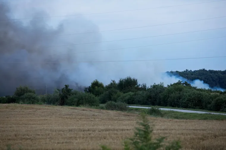 U Andrija&scaron;evcima izgorjela Pikova farma: Stradalo 1000 svinja?