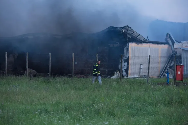 U Andrija&scaron;evcima izgorjela Pikova farma: Stradalo 1000 svinja?