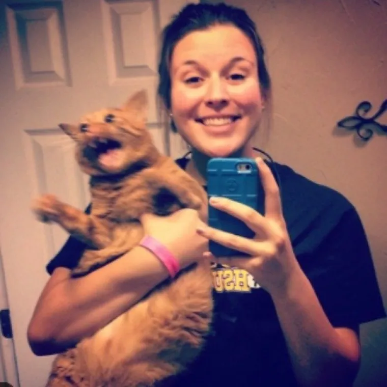 NE MOŽEMO SE PRESTATI SMIJATI OVIM MAČKAMA: Ne zna se tko je veći urnebes, one ili vlasnici