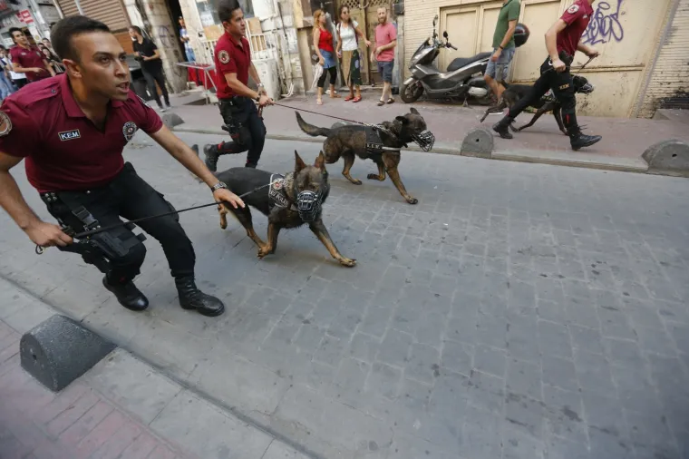 Istanbul: Policajci rastjerivali okupljene na LGBT Prideu gumenim mecima