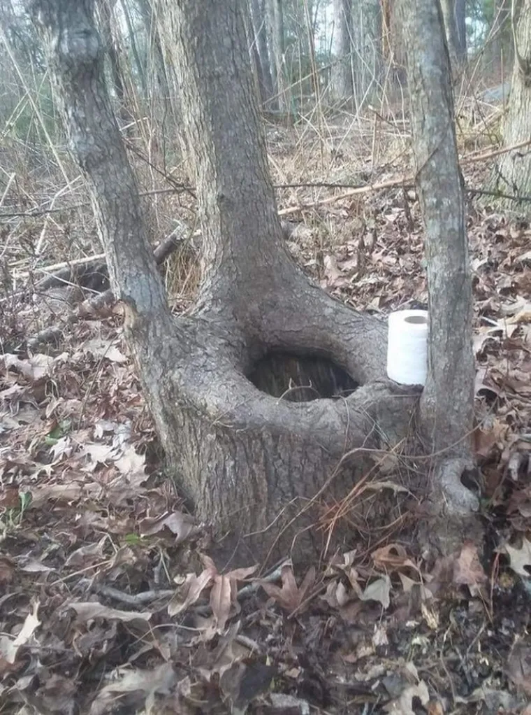 Svijet je pun smije&scaron;nog ludila, a ove fotke to i dokazuju