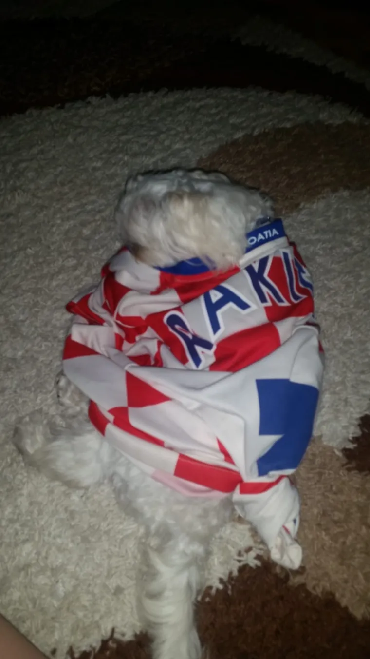 Navijajte s nama: Za Hrvatsku navijaj i službenu loptu nabijaj!