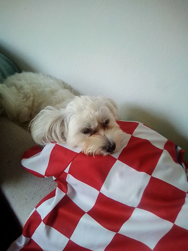 Navijajte s nama: Za Hrvatsku navijaj i službenu loptu nabijaj!