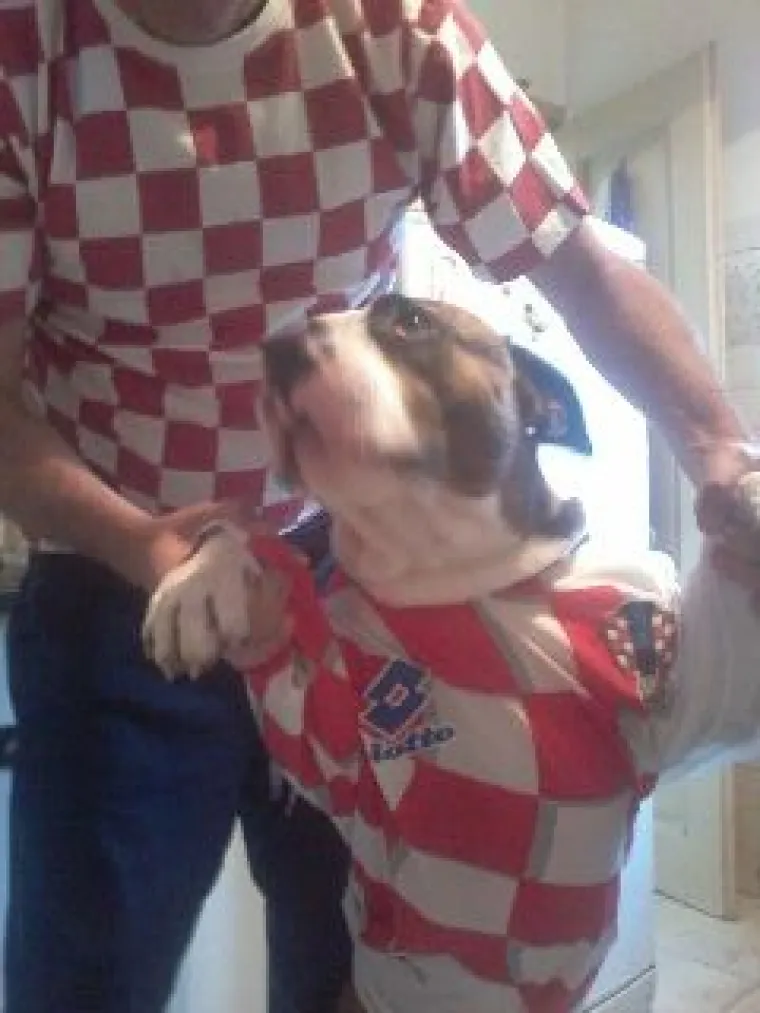 Navijajte s nama: Za Hrvatsku navijaj i službenu loptu nabijaj!