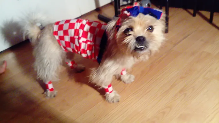 Navijajte s nama: Za Hrvatsku navijaj i službenu loptu nabijaj!