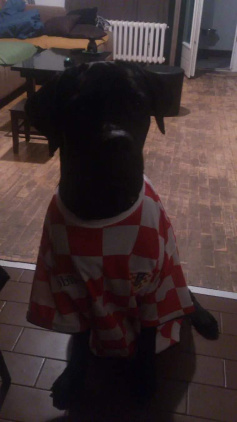 Navijajte s nama: Za Hrvatsku navijaj i službenu loptu nabijaj!