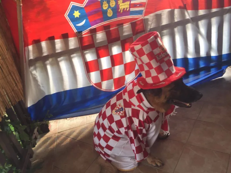 Ćiro bira pobjednika: Ovo su najbolje fotografije koje ste nam slali