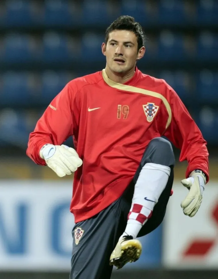 Danijel Suba&scaron;ić, 2008. godine