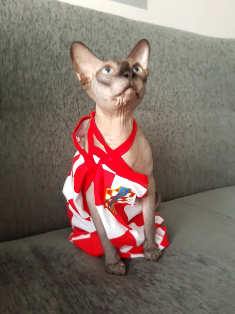 Kockice su preplavile Hrvatsku: Ovo su va&scaron;e navijačke fotografije!