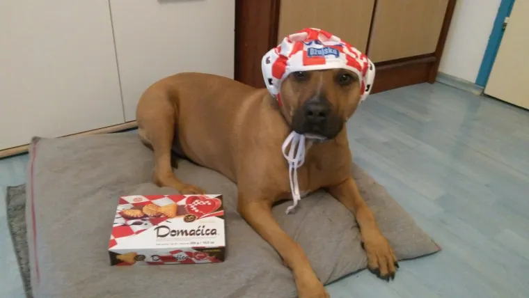 &Scaron;aljite nam svoje navijačke fotografije i s RTL-om navijajte za Hrvatsku!