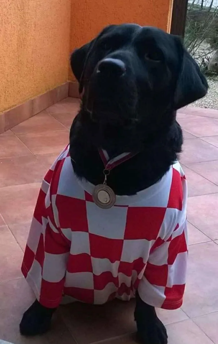 Pobjedničko slavlje: Odu&scaron;evljeni navijači slavili diljem Hrvatske