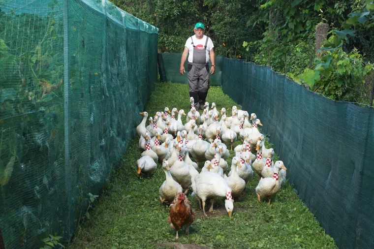 Cijela Hrvatska je uz reprezentaciju: Evo kako ljudi diljem zemlje slave veličanstvene uspjehe Vatrenih u Rusiji